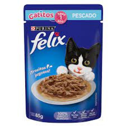 gatitos con  pescado